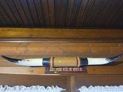 Horn decor