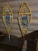 Pair of snow shoes