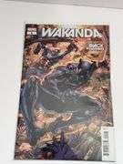 Marvel Black Panther and Wakanda Comics (5 Total)