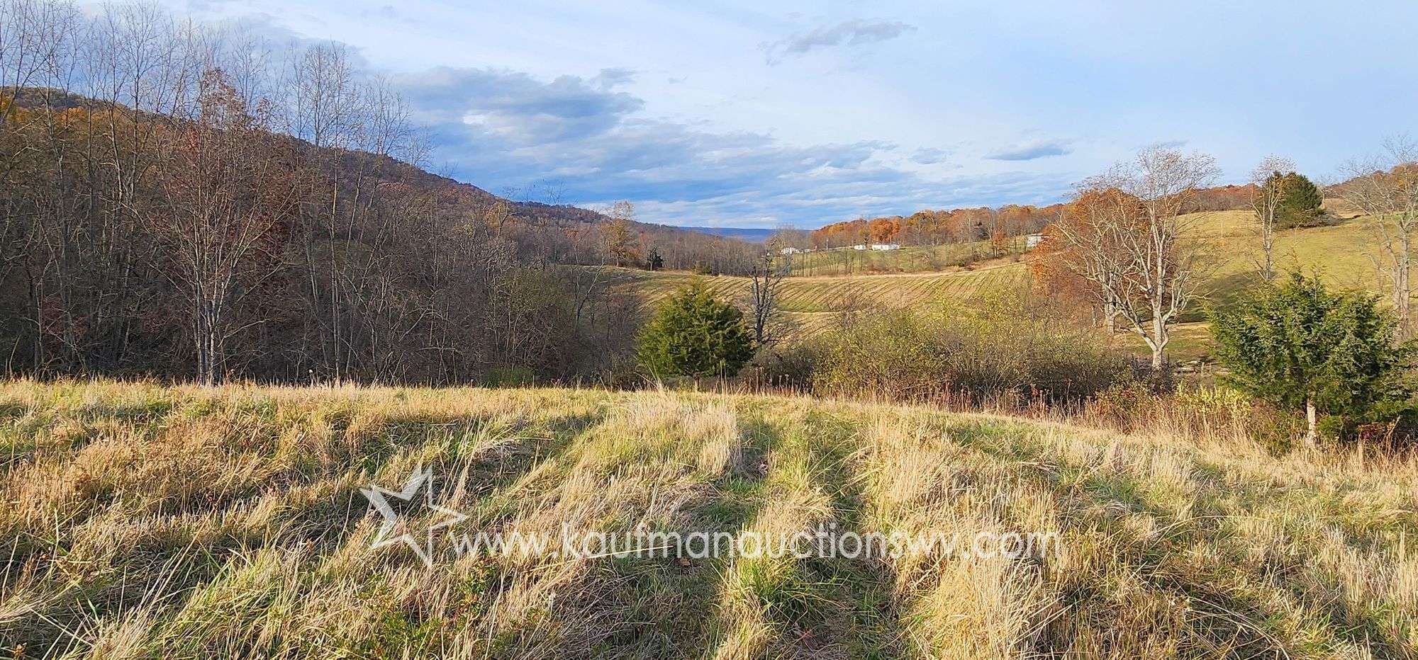 87.29+/- Acres, Potential Building Site - Kaufman Realty & Auctions