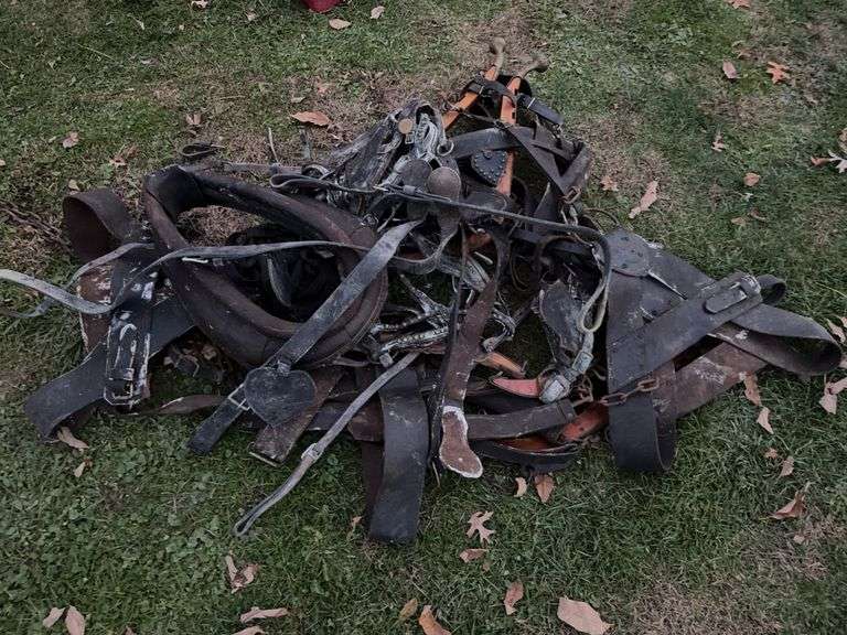 Misc. Horse Tack