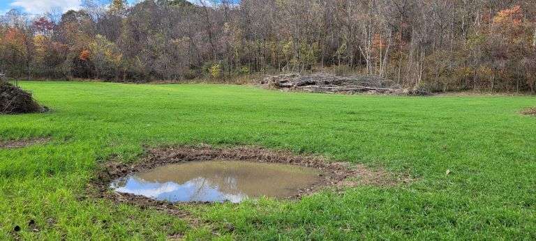 Online Only Muskingum Coun...