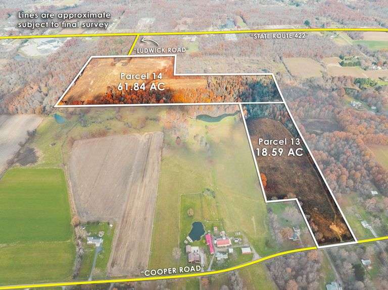 Auction #3 (Cooper Rd. Lowellville) 79.491 Acres