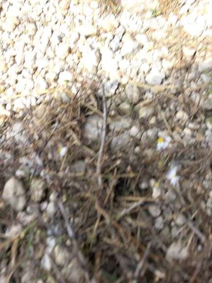 2019 Kenworth T8 showing 17,891 mi, 3,432 hrs - runs