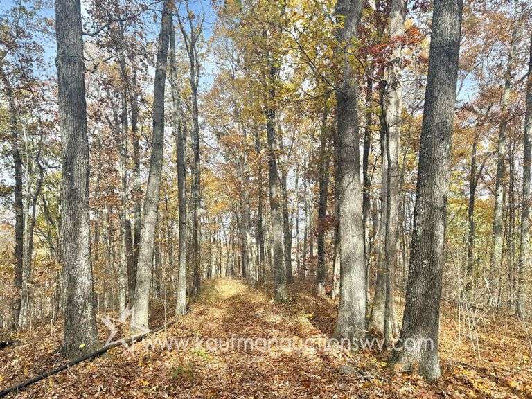 56+/- Acre Gilmer County, ...