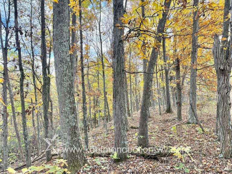 24+/- Acre Clay County WV ...