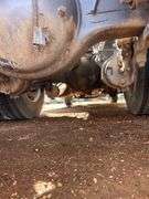 2015 Peterbilt 389 showing 20,400 mi, hrs unknown - doesn't run