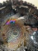 FENTON STAG AND HOLLY CARNIVAL FOOTED DISH