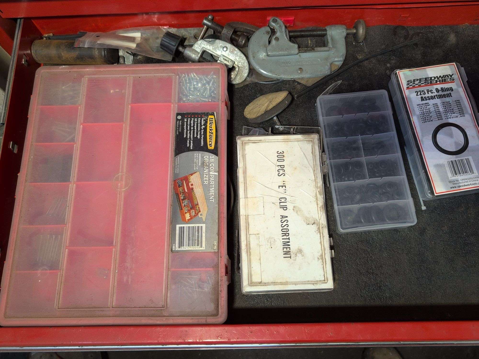 Compartment organizer with screws, washers, and more