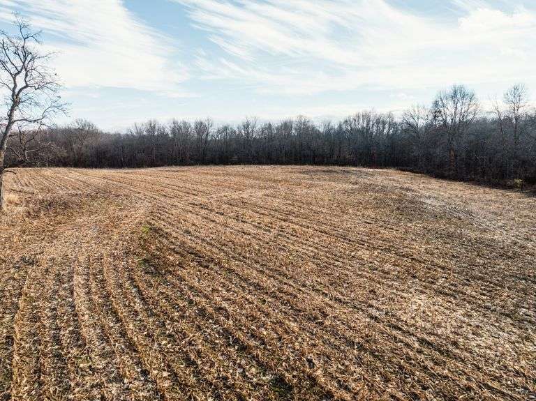 Prime Tillable & Wooded - Baker Farm