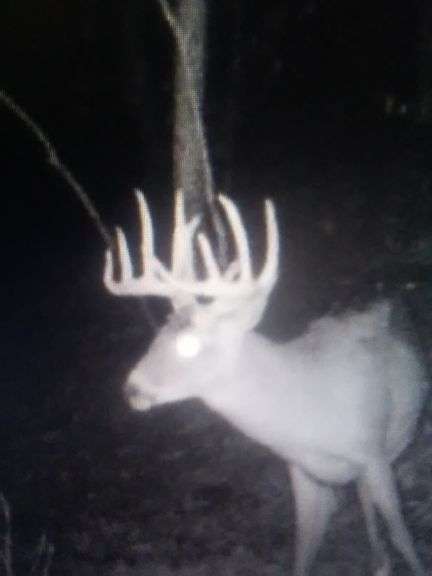 Tuscarawas County Land Auction  30.78 Acres Tippecanoe Area