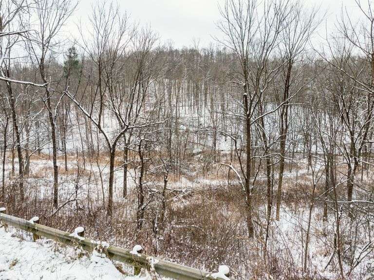 Tuscarawas County Land Auction  30.78 Acres Tippecanoe Area