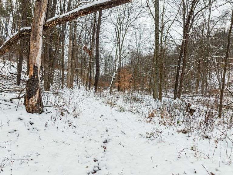 Tuscarawas County Land Auction  30.78 Acres Tippecanoe Area