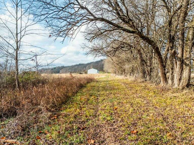 Prime Tillable & Wooded - Baker Farm