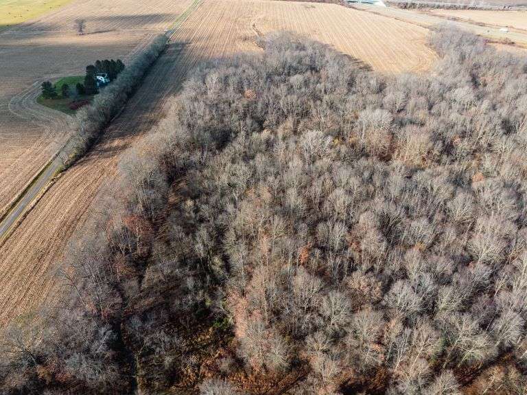 Prime Tillable & Wooded - Baker Farm