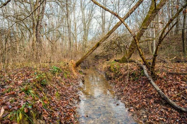 Prime Tillable & Wooded - Baker Farm