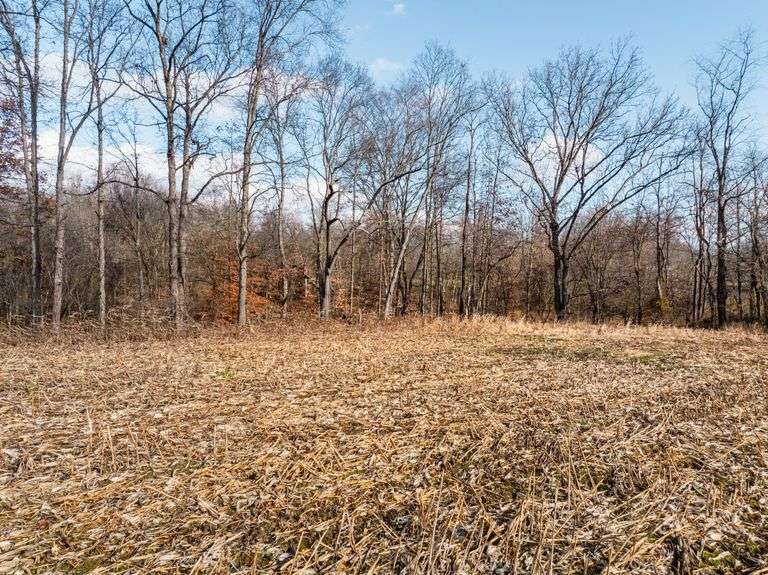 Prime Tillable & Wooded - Baker Farm