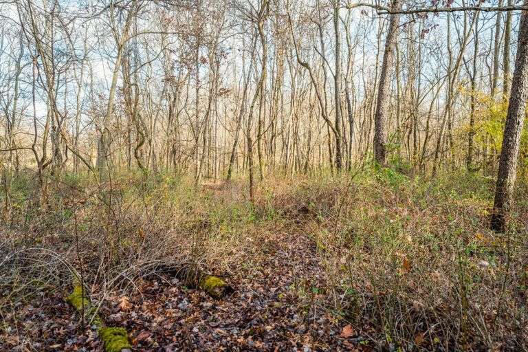 Prime Tillable & Wooded - Baker Farm