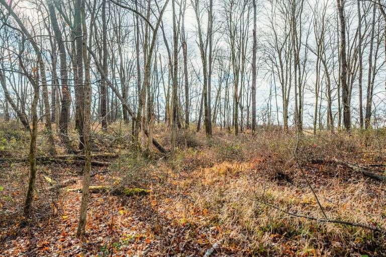 Prime Tillable & Wooded - Baker Farm