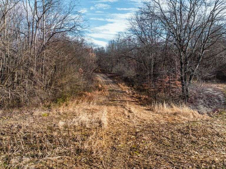 Prime Tillable & Wooded - Baker Farm