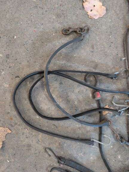 Various bungee cords