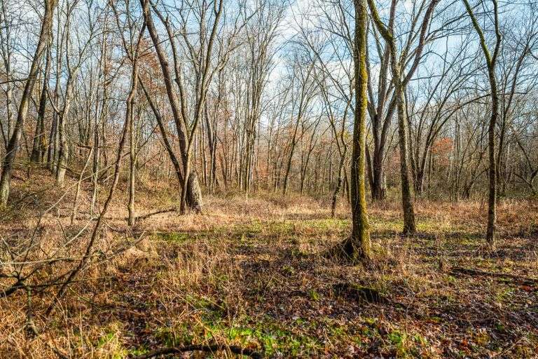 Prime Tillable & Wooded - Baker Farm