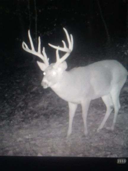 Tuscarawas County Land Auction  30.78 Acres Tippecanoe Area