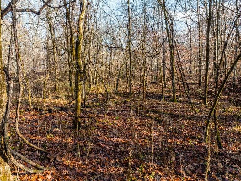 Prime Tillable & Wooded - Baker Farm