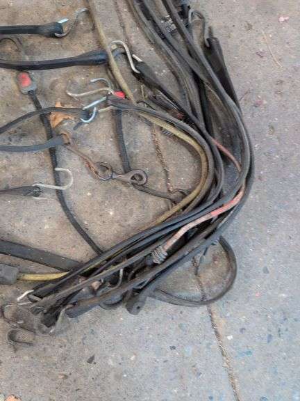 Various bungee cords