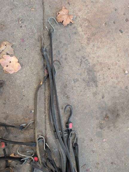 Various bungee cords