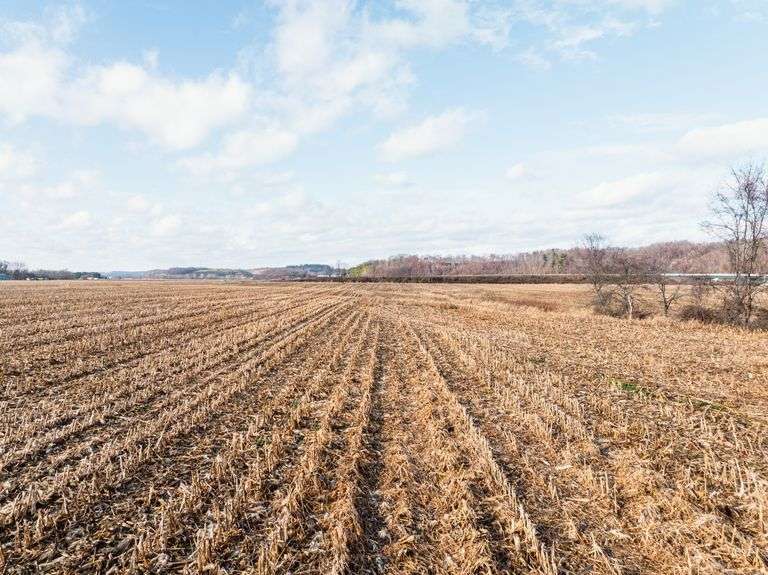 Prime Tillable & Wooded - Baker Farm