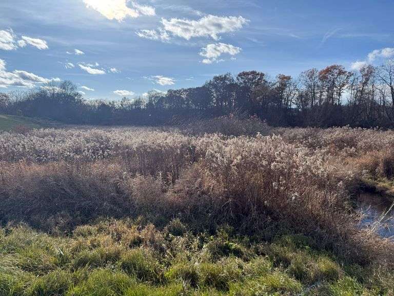 Columbiana County 10.64 +/...