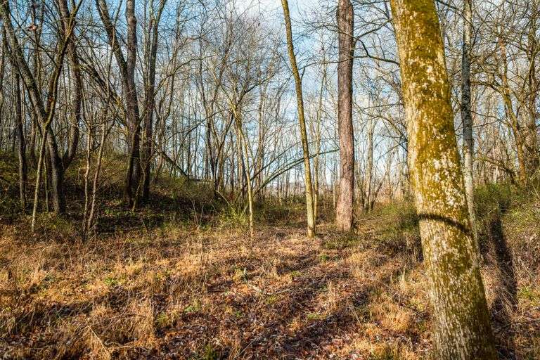 Prime Tillable & Wooded - Baker Farm