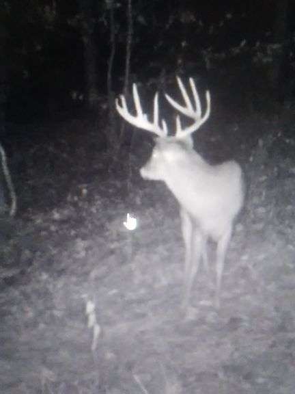 Tuscarawas County Land Auction  30.78 Acres Tippecanoe Area