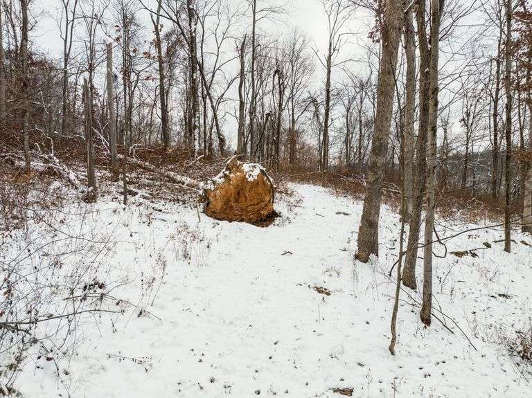 Tuscarawas County Land Auction  30.78 Acres Tippecanoe Area