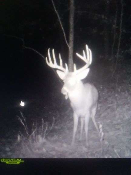 Tuscarawas County Land Auction  30.78 Acres Tippecanoe Area