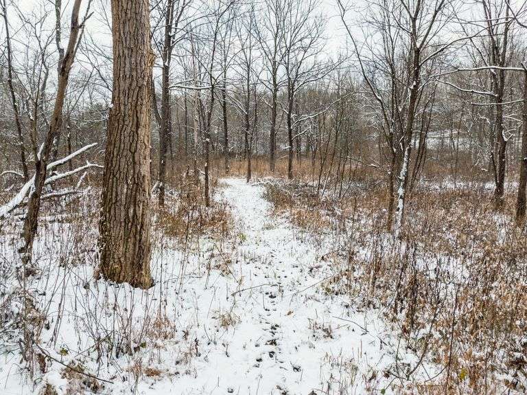 Tuscarawas County Land Auction  30.78 Acres Tippecanoe Area