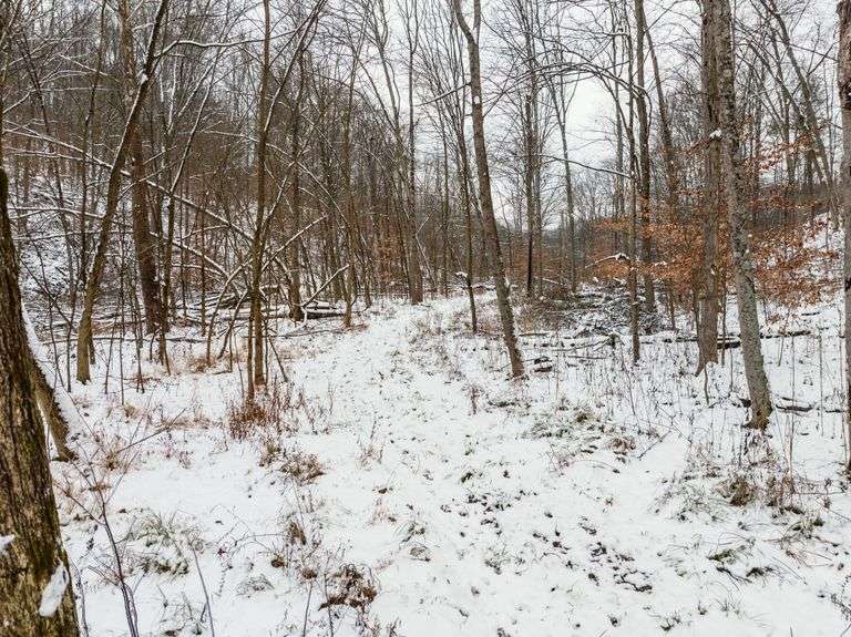 Tuscarawas County Land Auction  30.78 Acres Tippecanoe Area
