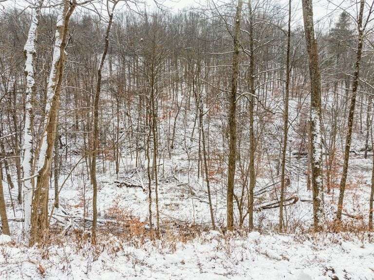 Tuscarawas County Land Auction  30.78 Acres Tippecanoe Area