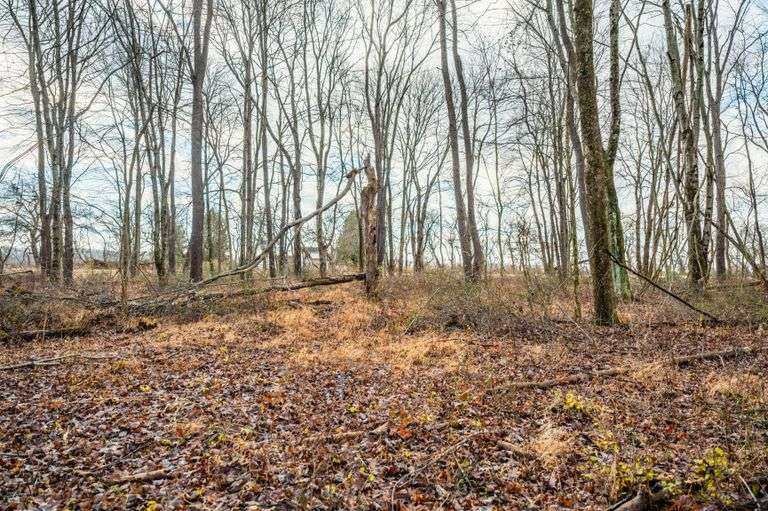 Prime Tillable & Wooded - Baker Farm