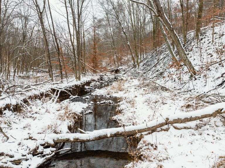 Tuscarawas County Land Auction  30.78 Acres Tippecanoe Area