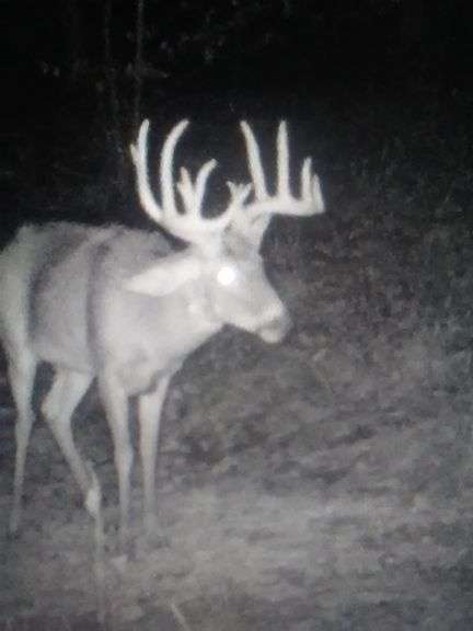 Tuscarawas County Land Auction  30.78 Acres Tippecanoe Area