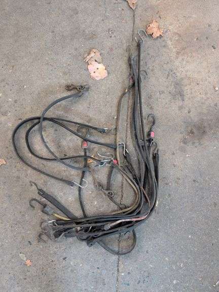 Various bungee cords