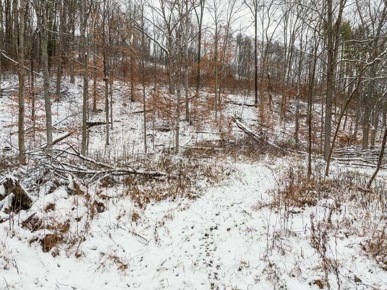 Tuscarawas County Land Auction  30.78 Acres Tippecanoe Area