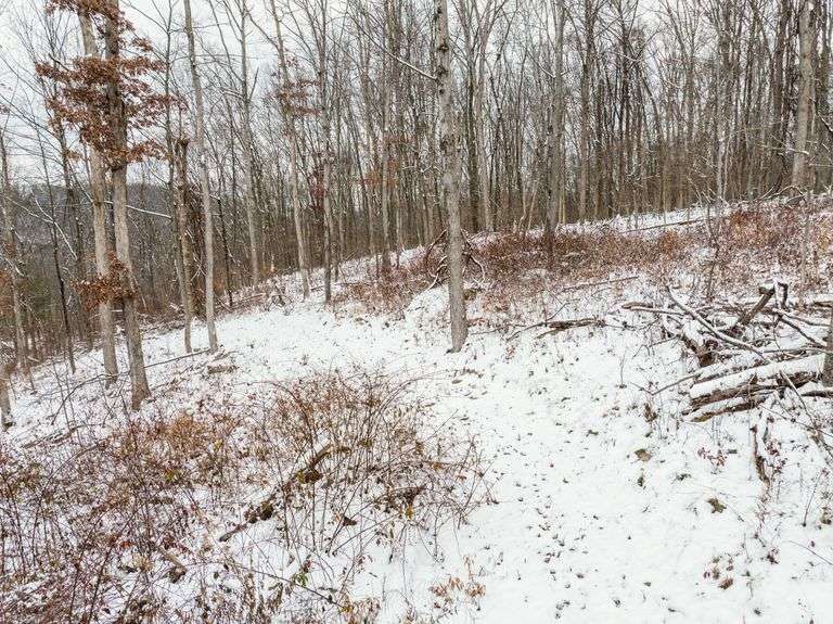 Tuscarawas County Land Auction  30.78 Acres Tippecanoe Area