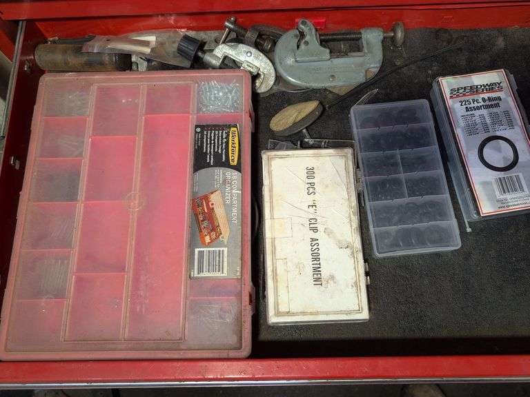 Compartment organizer with screws, washers, and more