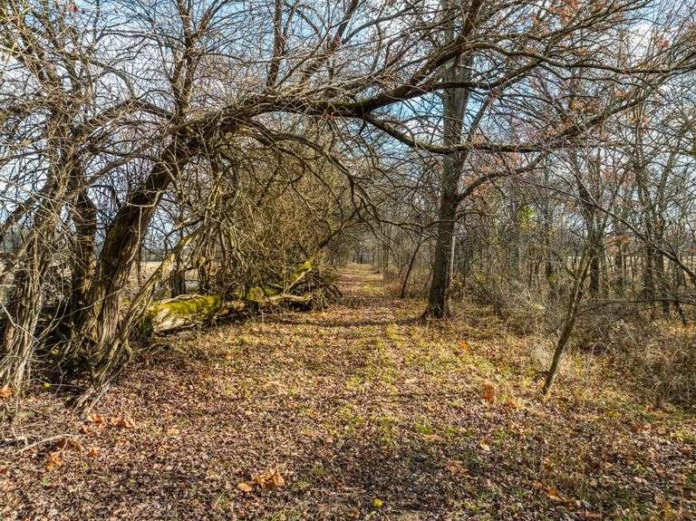 Prime Tillable & Wooded - Baker Farm