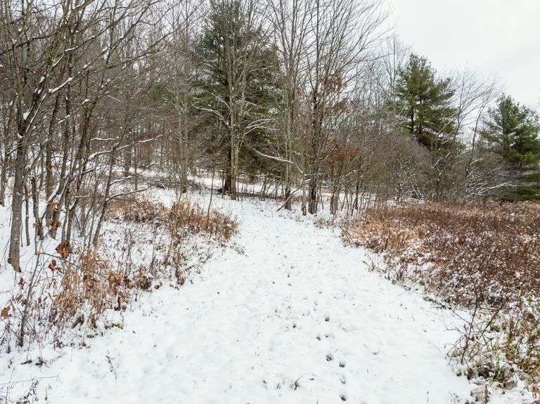 Tuscarawas County Land Auction  30.78 Acres Tippecanoe Area