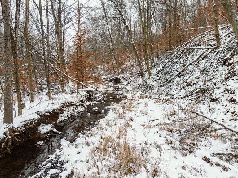 Tuscarawas County Land Auction  30.78 Acres Tippecanoe Area