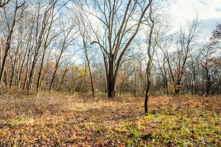 Prime Tillable & Wooded - Baker Farm